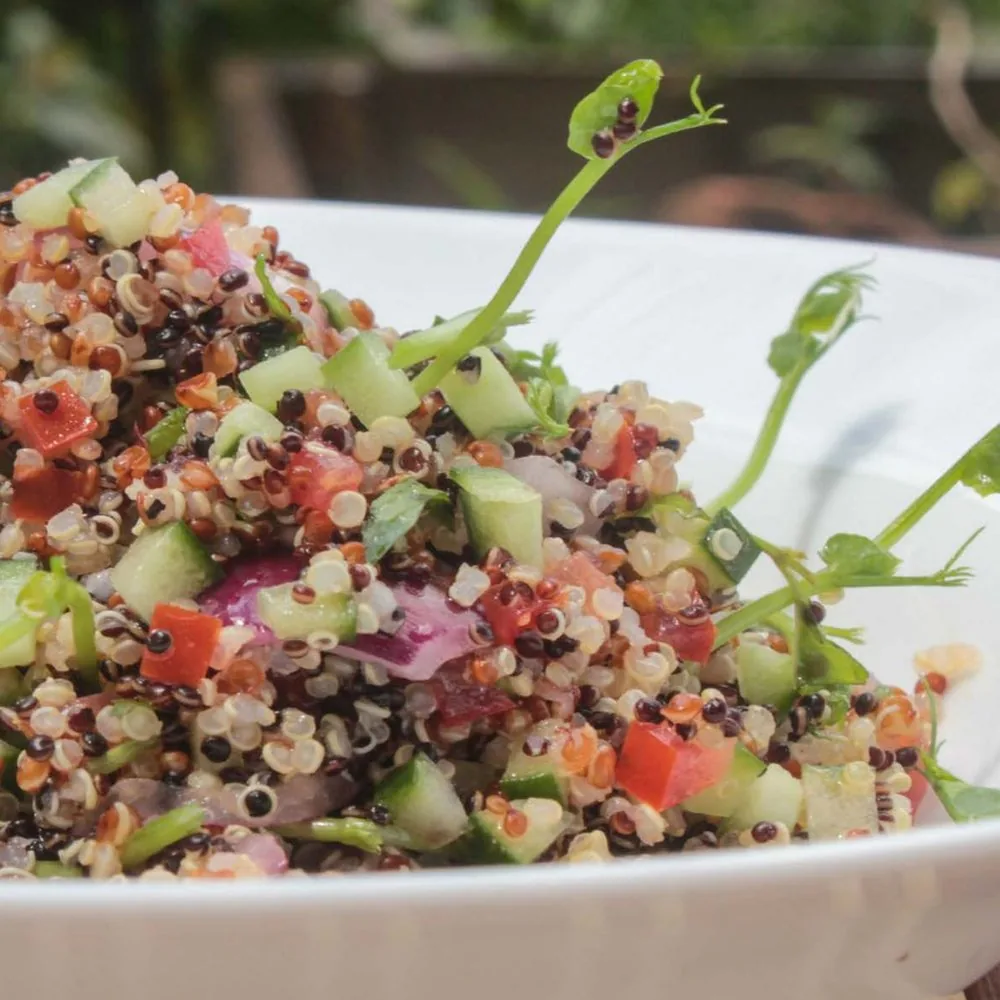 Tabbouleh de quinoa con germinados de chícharo